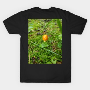 Orange Mushroom T-Shirt